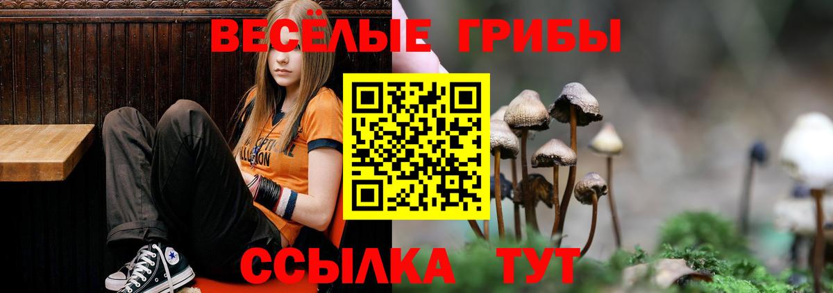 Касимов  Псилоцибиновые грибы мицелий  Вход с VPN  Галлюциногенные грибы прущие грибы 
